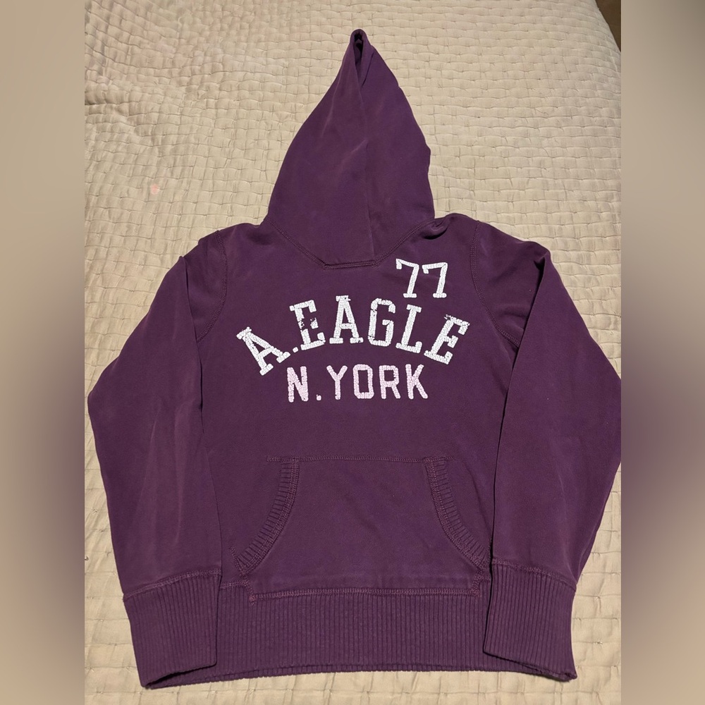 Vintage Y2K American Eagle New York Purple Hoodie Spellout Varsity Size Large
